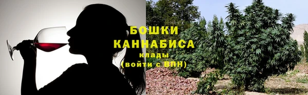 твердый Зеленодольск