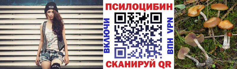 Купить где  Томск  Галлюциногенные грибы Psilocybine cubensis 